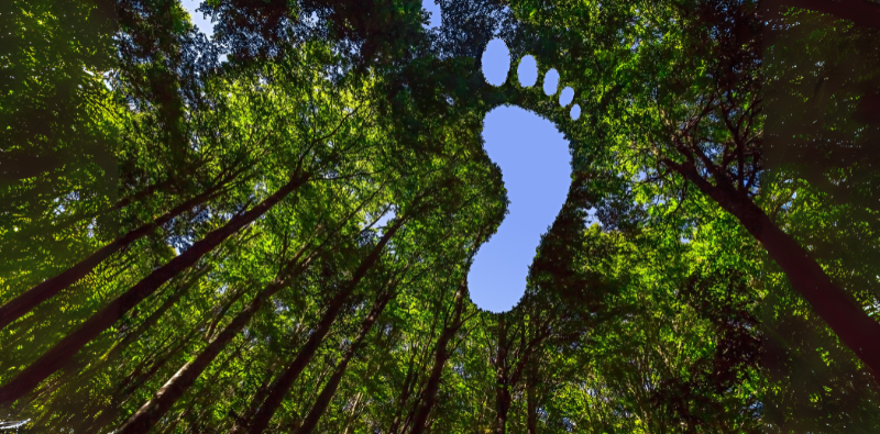 Pioneering Net Zero in Steel : Redefining Carbon Intelligence - featured in The Executive Magazine